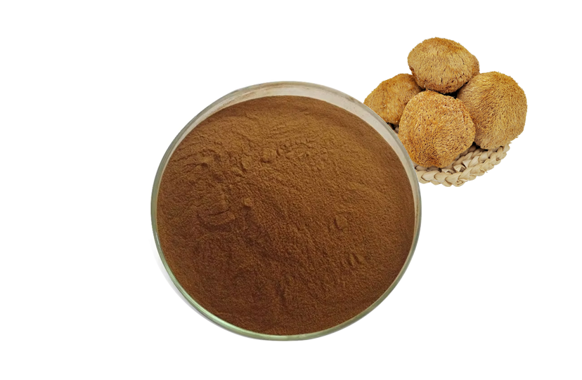 Hericium Erinaceus Extract Powder